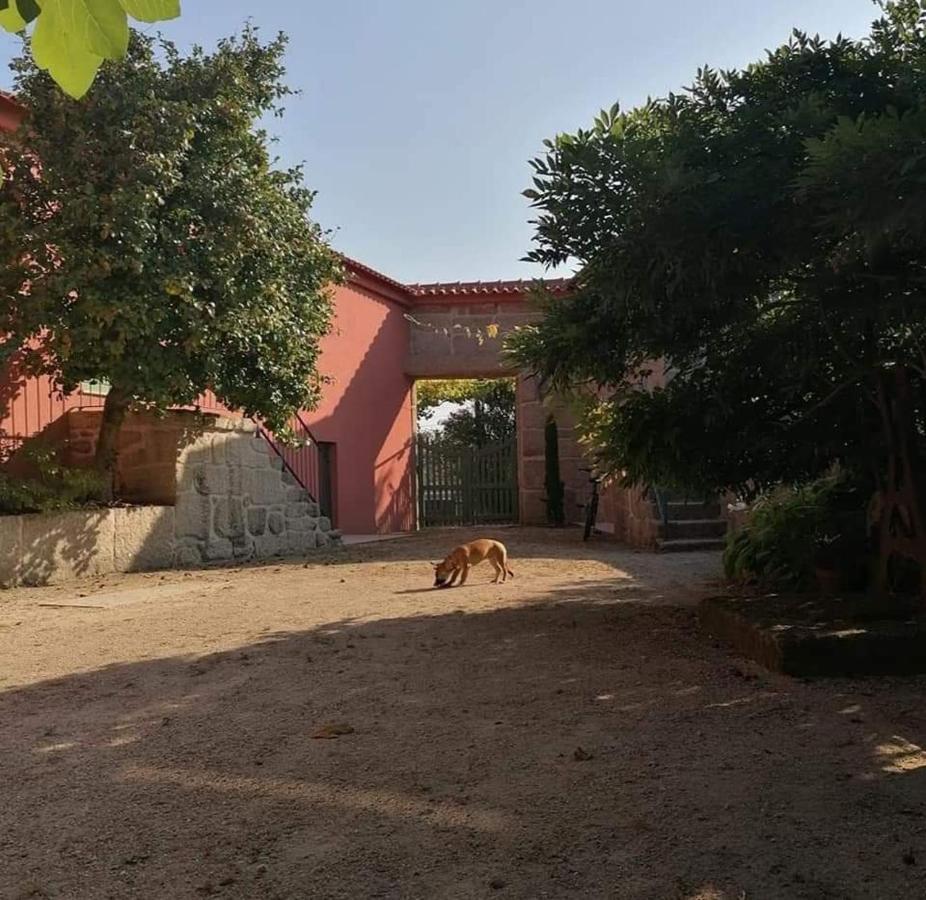 Quinta Do Santinho Villa Amarante Buitenkant foto