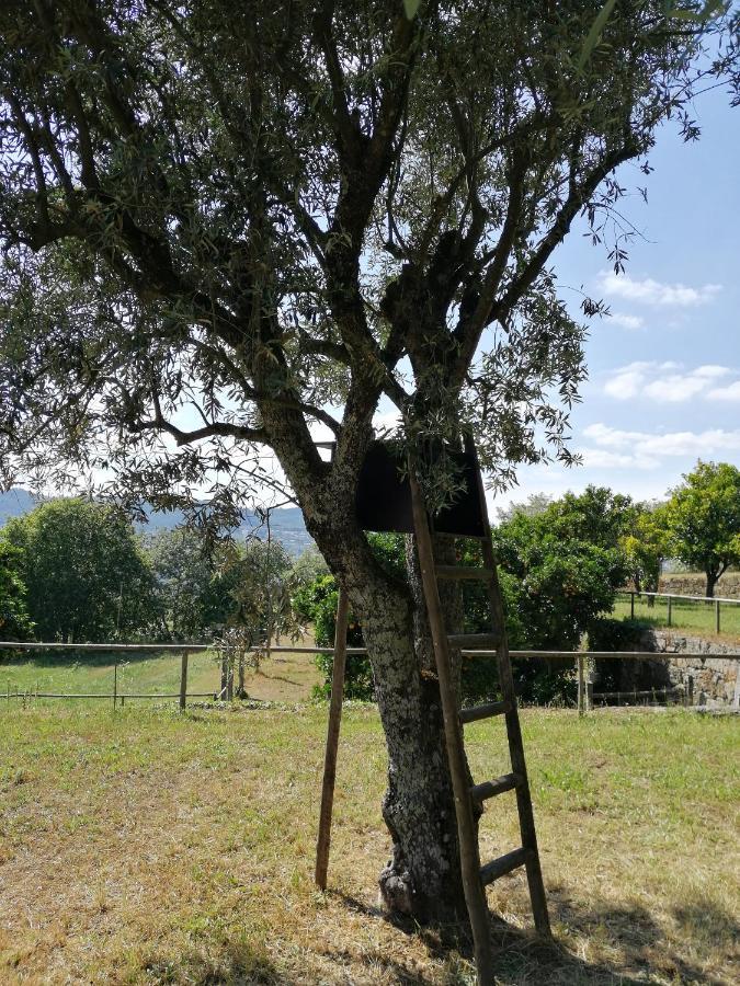 Quinta Do Santinho Villa Amarante Buitenkant foto